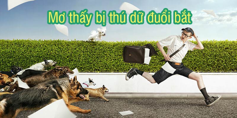 Giấc mơ thấy mình bị đuổi bắt bởi thú dữ sẽ liên quan đến tâm lý