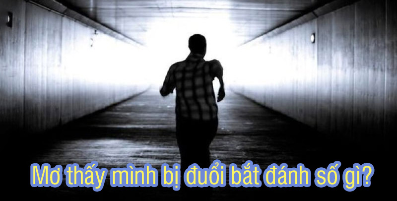 Giải mã các con số ẩn chứa đằng sau giấc mơ thấy mình bị đuổi bắt