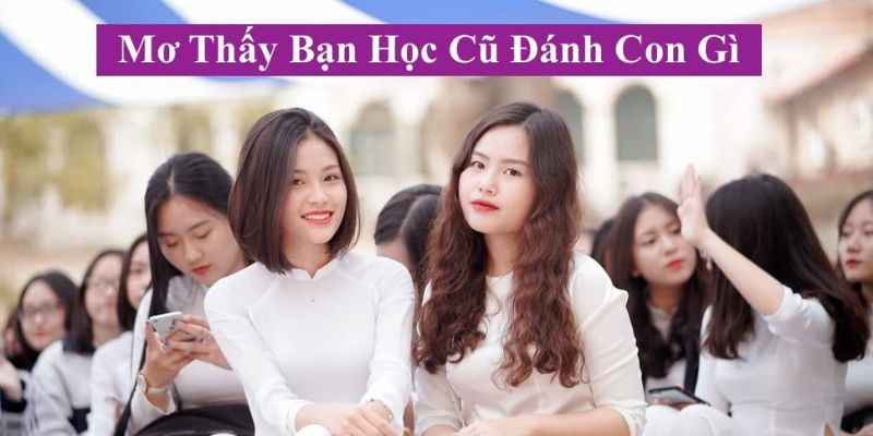 Liên kết số đẹp khi gặp bạn cũ khi ngủ