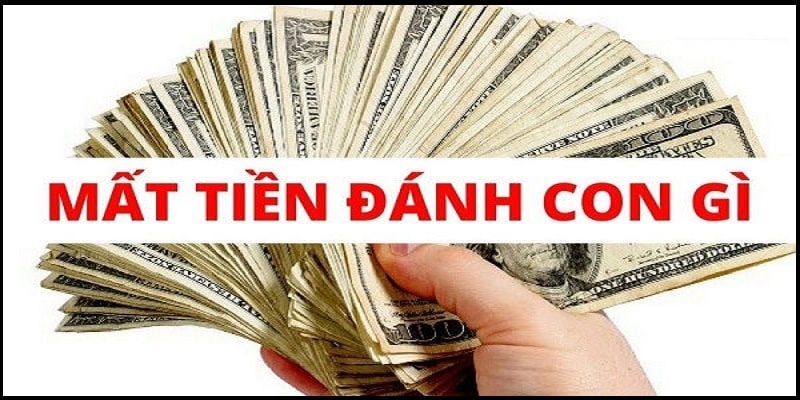 Mơ thấy mất tiền đánh con gì?