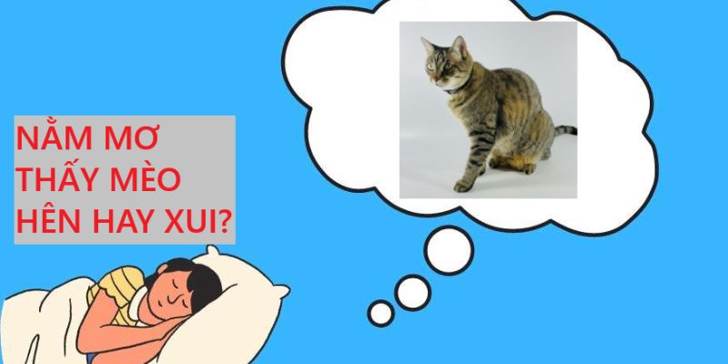 Ý nghĩa ẩn sau giấc mơ thấy mèo chuẩn nhất